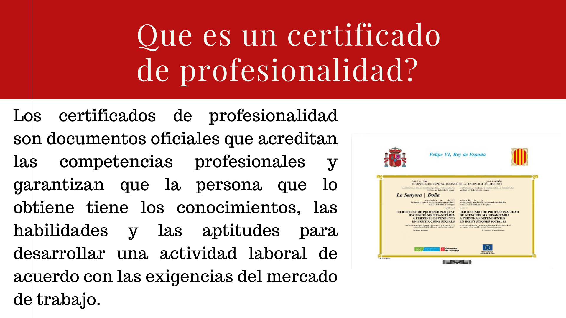 certificado de profesionalidad masaje lleida